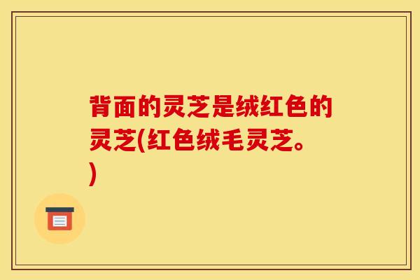 背面的灵芝是绒红色的灵芝(红色绒毛灵芝。)