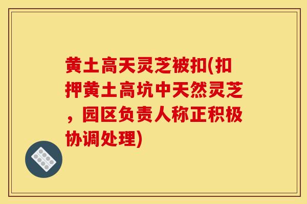 黄土高天灵芝被扣(扣押黄土高坑中天然灵芝，园区负责人称正积极协调处理)