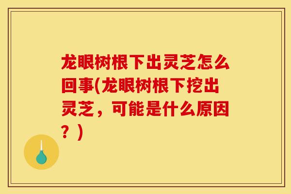 龙眼树根下出灵芝怎么回事(龙眼树根下挖出灵芝，可能是什么原因？)