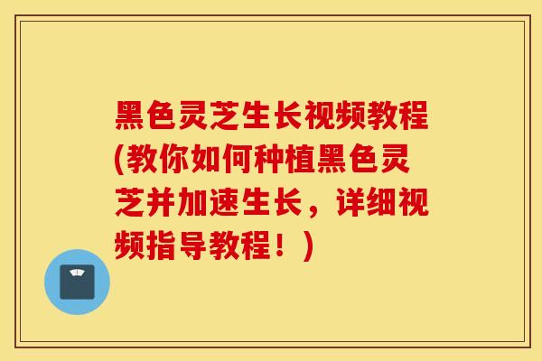 黑色灵芝生长视频教程(教你如何种植黑色灵芝并加速生长，详细视频指导教程！)