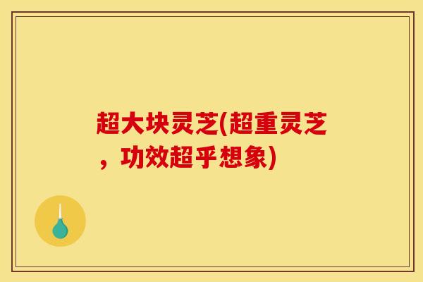 超大块灵芝(超重灵芝，功效超乎想象)