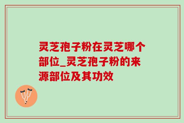 灵芝孢子粉在灵芝哪个部位_灵芝孢子粉的来源部位及其功效