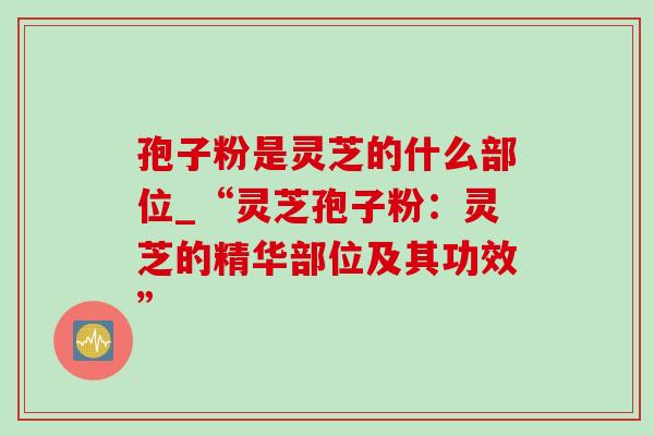 孢子粉是灵芝的什么部位_“灵芝孢子粉：灵芝的精华部位及其功效”