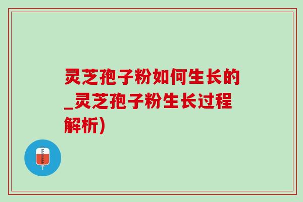 灵芝孢子粉如何生长的_灵芝孢子粉生长过程解析)