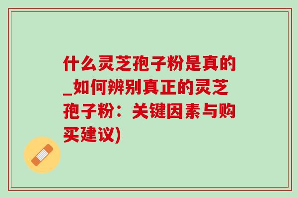 什么灵芝孢子粉是真的_如何辨别真正的灵芝孢子粉：关键因素与购买建议)