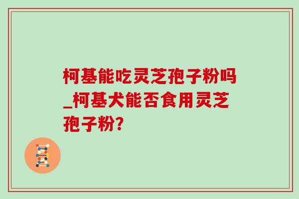 柯基能吃灵芝孢子粉吗_柯基犬能否食用灵芝孢子粉？