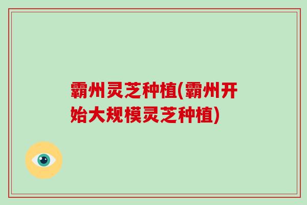 霸州灵芝种植(霸州开始大规模灵芝种植)
