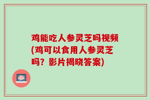 鸡能吃人参灵芝吗视频(鸡可以食用人参灵芝吗？影片揭晓答案)