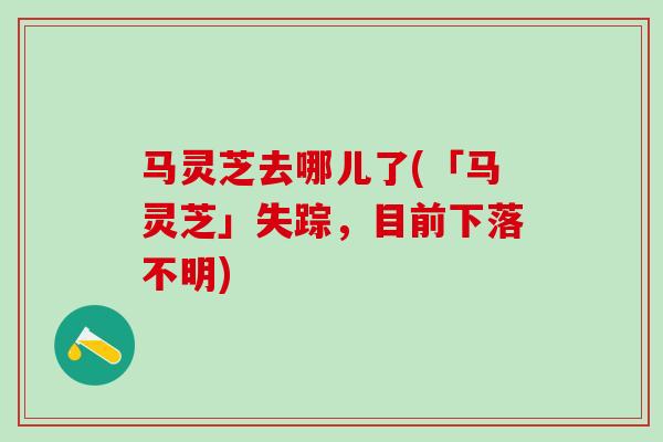 马灵芝去哪儿了(「马灵芝」失踪，目前下落不明)