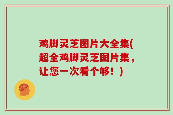 鸡脚灵芝图片大全集(超全鸡脚灵芝图片集，让您一次看个够！)