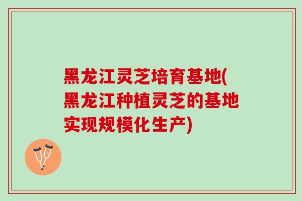 黑龙江灵芝培育基地(黑龙江种植灵芝的基地实现规模化生产)