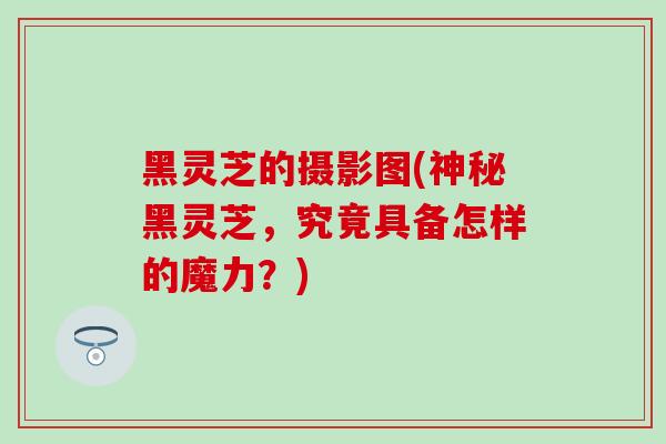黑灵芝的摄影图(神秘黑灵芝，究竟具备怎样的魔力？)