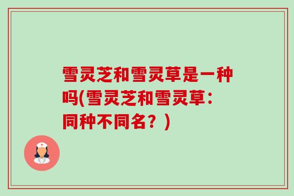 雪灵芝和雪灵草是一种吗(雪灵芝和雪灵草：同种不同名？)