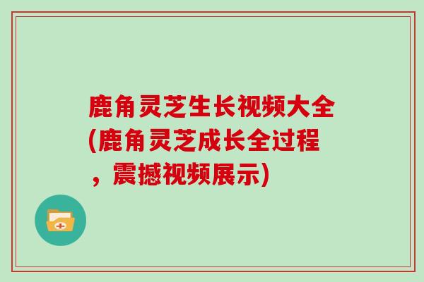 鹿角灵芝生长视频大全(鹿角灵芝成长全过程，震撼视频展示)