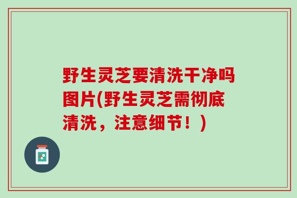 野生灵芝要清洗干净吗图片(野生灵芝需彻底清洗，注意细节！)