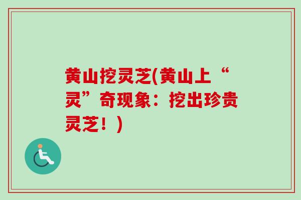 黄山挖灵芝(黄山上“灵”奇现象：挖出珍贵灵芝！)