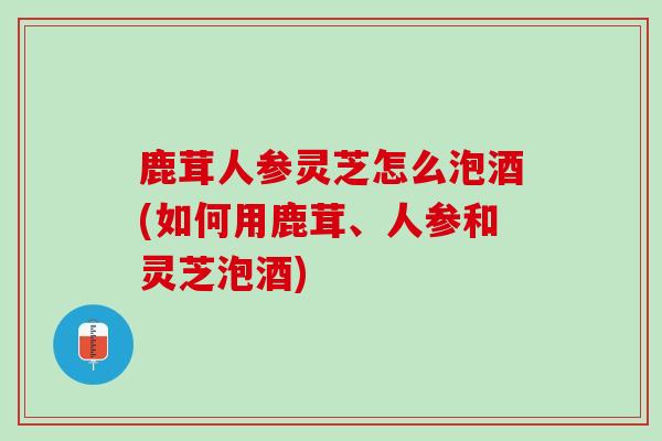 鹿茸人参灵芝怎么泡酒(如何用鹿茸、人参和灵芝泡酒)
