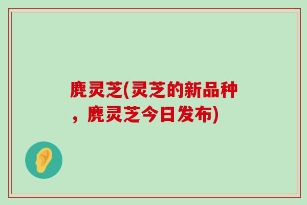 麂灵芝(灵芝的新品种，麂灵芝今日发布)