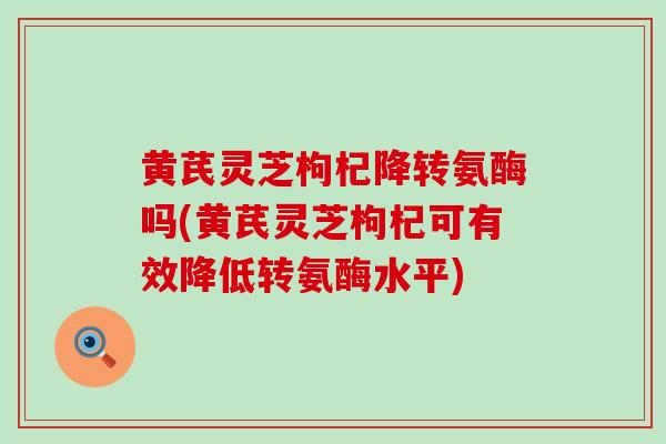 黄芪灵芝枸杞降转氨酶吗(黄芪灵芝枸杞可有效降低转氨酶水平)