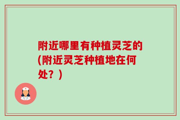 附近哪里有种植灵芝的(附近灵芝种植地在何处？)