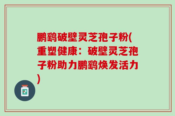 鹏鹞破壁灵芝孢子粉(重塑健康：破壁灵芝孢子粉助力鹏鹞焕发活力)