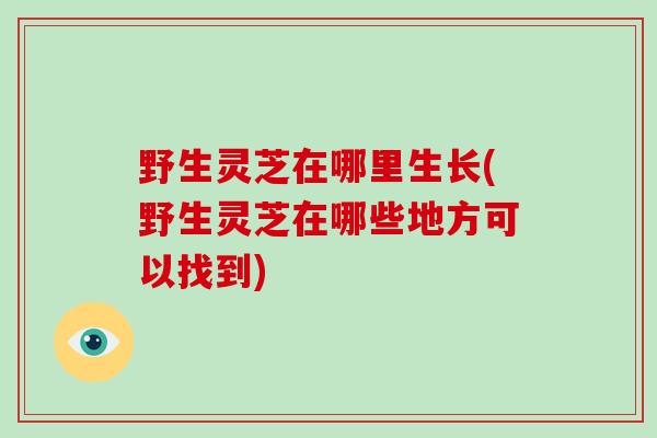 野生灵芝在哪里生长(野生灵芝在哪些地方可以找到)