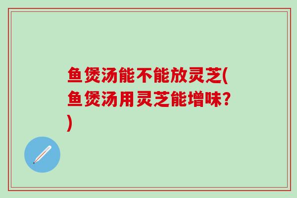 鱼煲汤能不能放灵芝(鱼煲汤用灵芝能增味？)