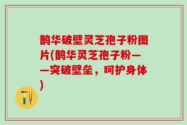 鹊华破壁灵芝孢子粉图片(鹊华灵芝孢子粉——突破壁垒，呵护身体)