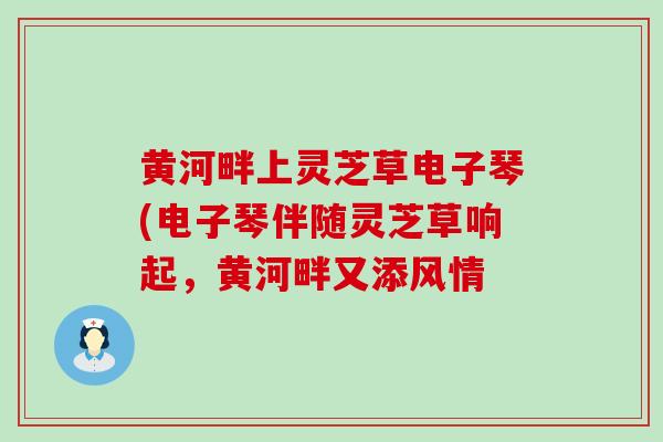 黄河畔上灵芝草电子琴(电子琴伴随灵芝草响起，黄河畔又添风情