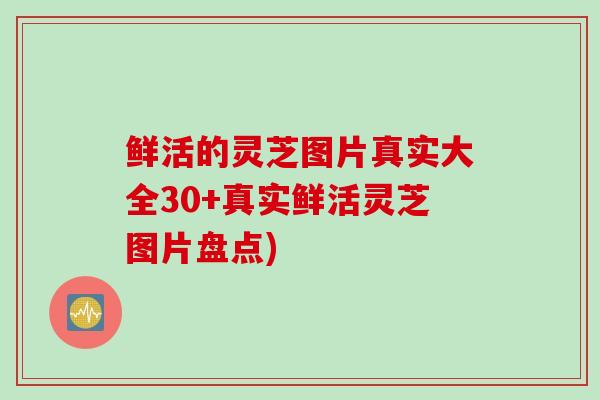 鲜活的灵芝图片真实大全30+真实鲜活灵芝图片盘点)
