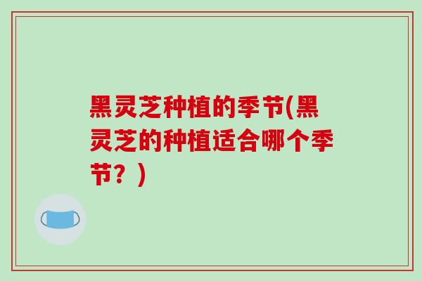黑灵芝种植的季节(黑灵芝的种植适合哪个季节？)