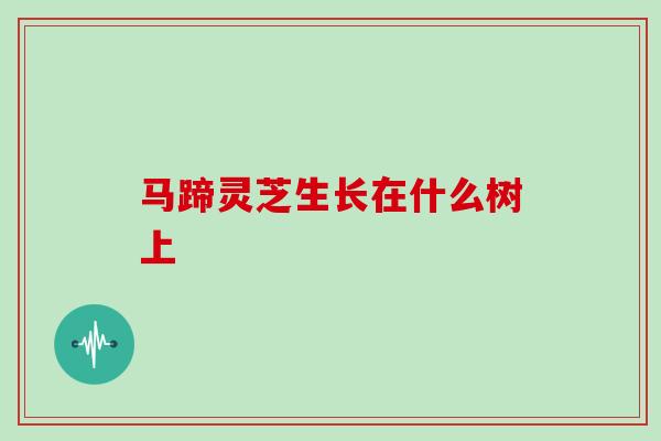 马蹄灵芝生长在什么树上