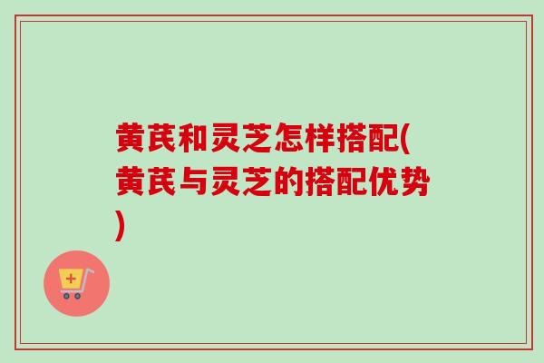 黄芪和灵芝怎样搭配(黄芪与灵芝的搭配优势)