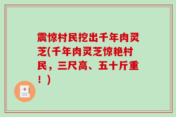 震惊村民挖出千年肉灵芝(千年肉灵芝惊艳村民，三尺高、五十斤重！)