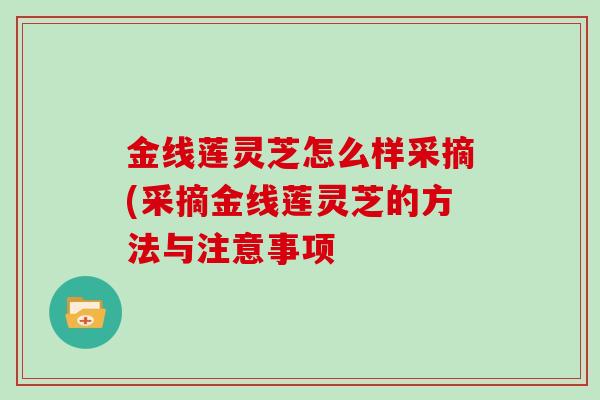 金线莲灵芝怎么样采摘(采摘金线莲灵芝的方法与注意事项