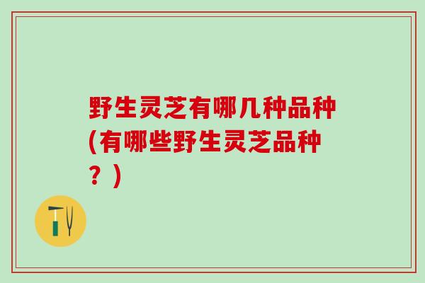 野生灵芝有哪几种品种(有哪些野生灵芝品种？)