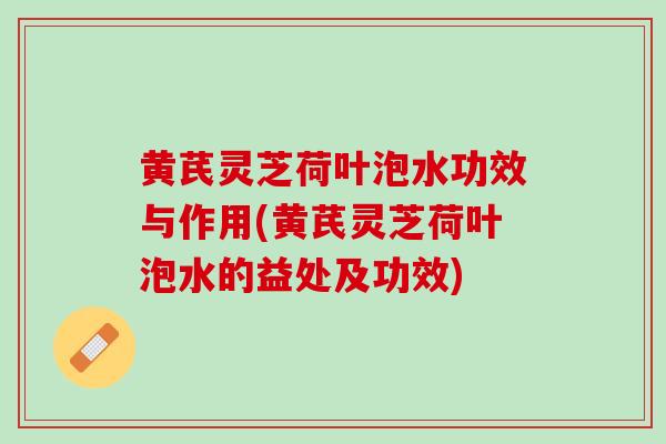 黄芪灵芝荷叶泡水功效与作用(黄芪灵芝荷叶泡水的益处及功效)