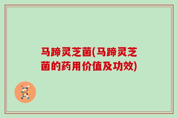 马蹄灵芝菌(马蹄灵芝菌的药用价值及功效)