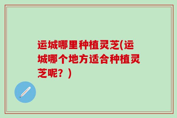 运城哪里种植灵芝(运城哪个地方适合种植灵芝呢？)