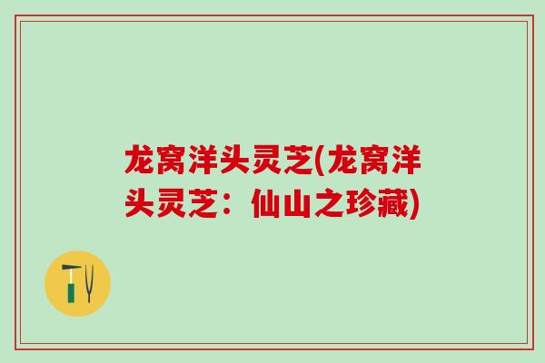 龙窝洋头灵芝(龙窝洋头灵芝：仙山之珍藏)
