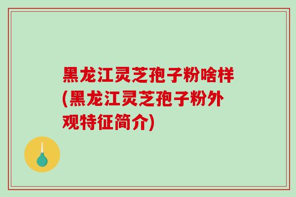 黑龙江灵芝孢子粉啥样(黑龙江灵芝孢子粉外观特征简介)