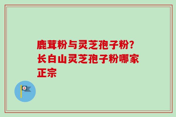 鹿茸粉与灵芝孢子粉？长白山灵芝孢子粉哪家正宗