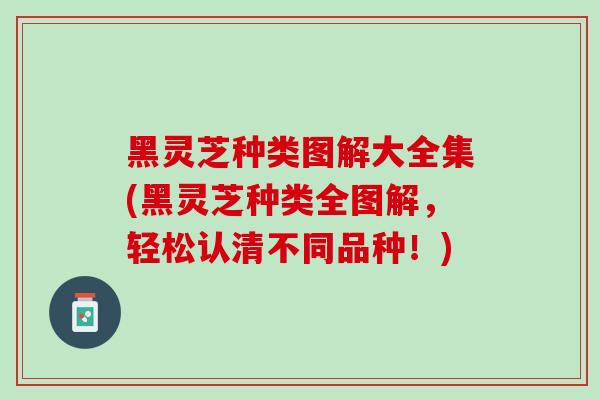黑灵芝种类图解大全集(黑灵芝种类全图解，轻松认清不同品种！)