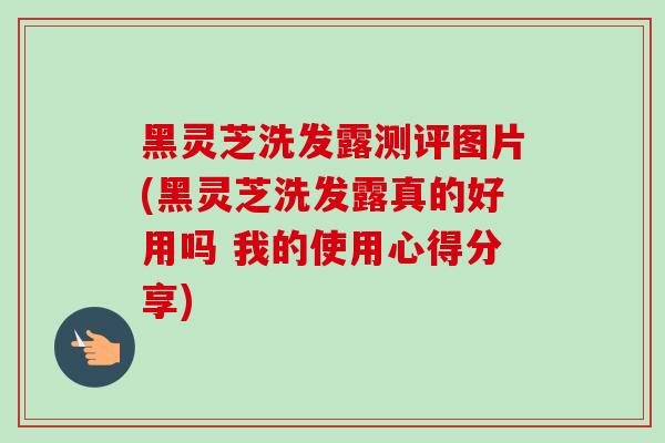 黑灵芝洗发露测评图片(黑灵芝洗发露真的好用吗 我的使用心得分享)