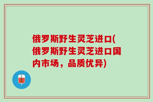 俄罗斯野生灵芝进口(俄罗斯野生灵芝进口国内市场，品质优异)