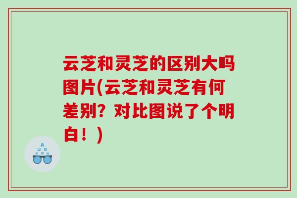 云芝和灵芝的区别大吗图片(云芝和灵芝有何差别？对比图说了个明白！)