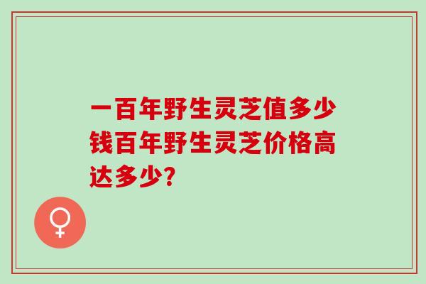 一百年野生灵芝值多少钱百年野生灵芝价格高达多少？