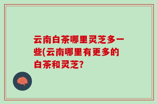 云南白茶哪里灵芝多一些(云南哪里有更多的白茶和灵芝？