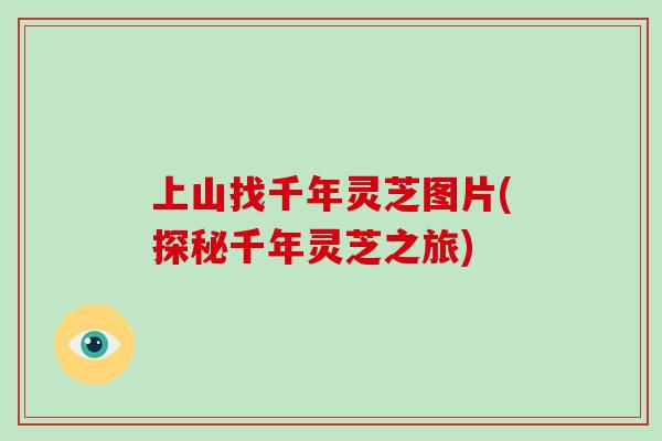 上山找千年灵芝图片(探秘千年灵芝之旅)