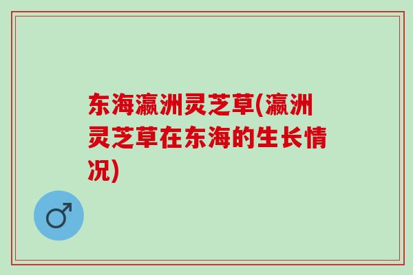 东海瀛洲灵芝草(瀛洲灵芝草在东海的生长情况)
